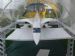 Concorde