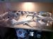 1/200 scale Skymarks models
